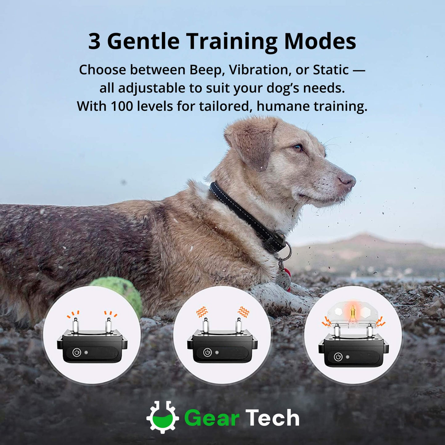 1000m Waterproof Dog Training Collar | Rechargeable, Remote Control & Adjustable for Small, Medium, and Large Dogs