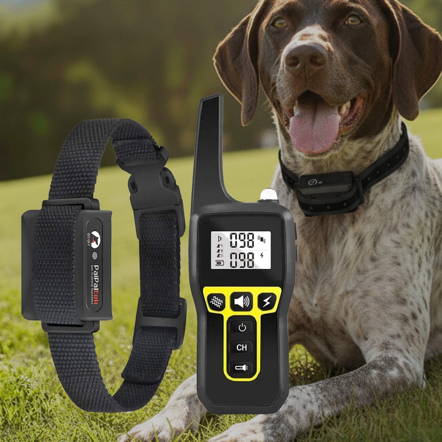 1000m Waterproof Dog Training Collar | Rechargeable, Remote Control & Adjustable for Small, Medium, and Large Dogs