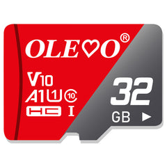 Memory Card Mini SD