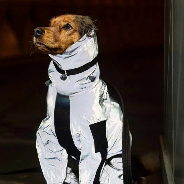 Dog Rain Coat with Legs - Waterproof Dog Jacket for Small and Large Breeds | UK Cozy Winter Wear