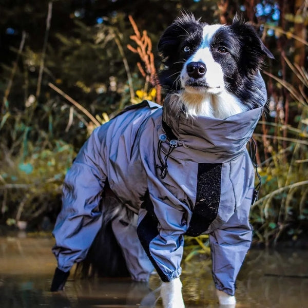 Waterproof Dog Coat with Legs – Reflective Dog Rain Jacket for Small & Large Breeds | Best Rain Coat for Dogs UK