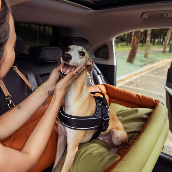 Large Deluxe Car Dog Bed | Back Seat Extender & Car Seat Protection