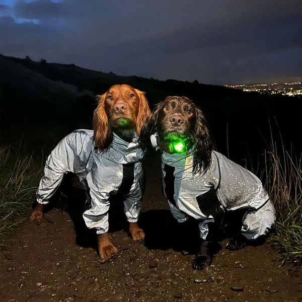 Dog Rain Coat with Legs - Waterproof Dog Jacket for Small and Large Breeds | UK Cozy Winter Wear