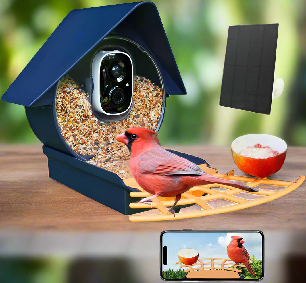BirdyCam™ | Smart Bird Feeder Camera with AI Recognition & Night Vision for Bird Watching & Wildlife Observation