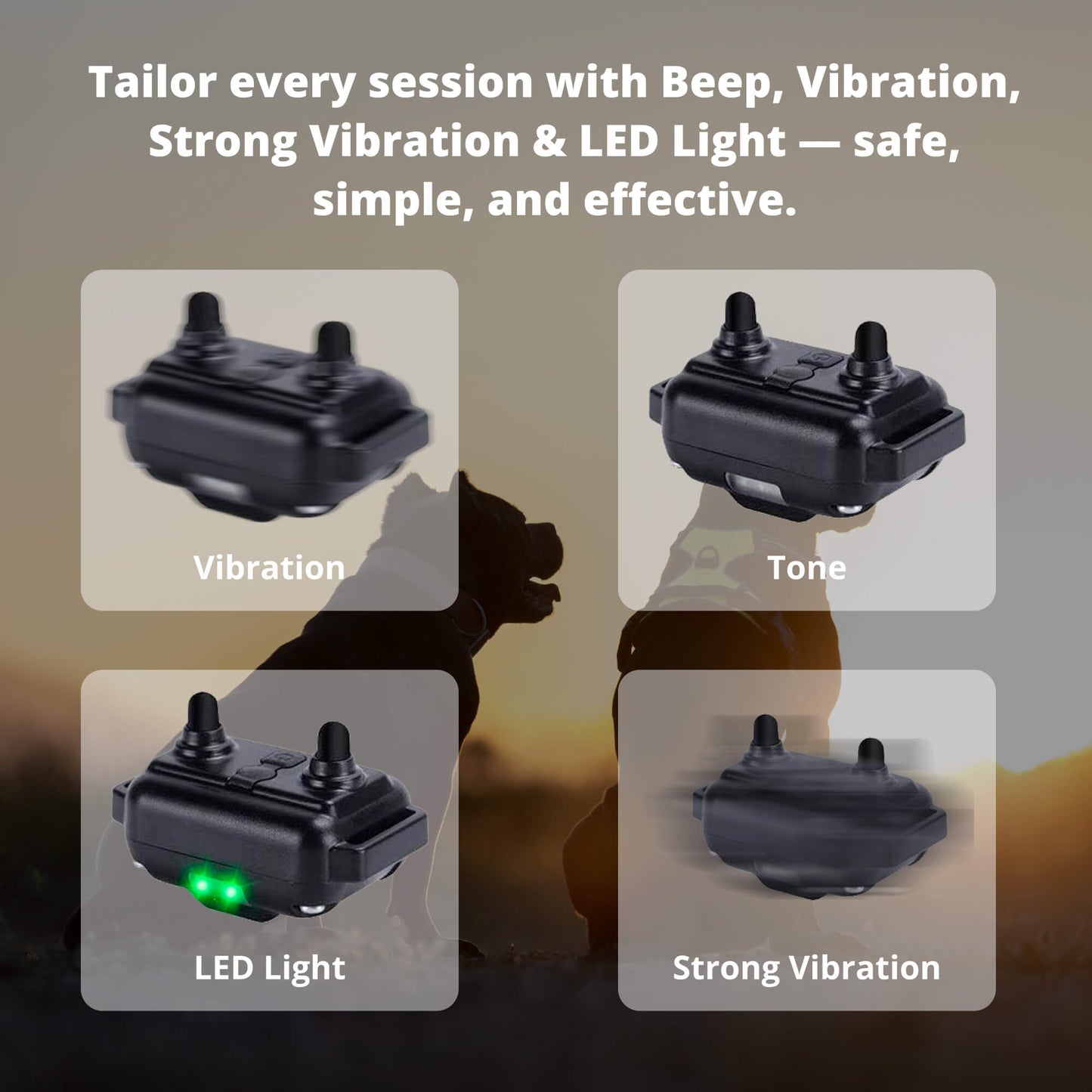 800M Rechargeable Electric Dog Training Collar | Waterproof, Remote Control & Ideal for Effective Dog Training