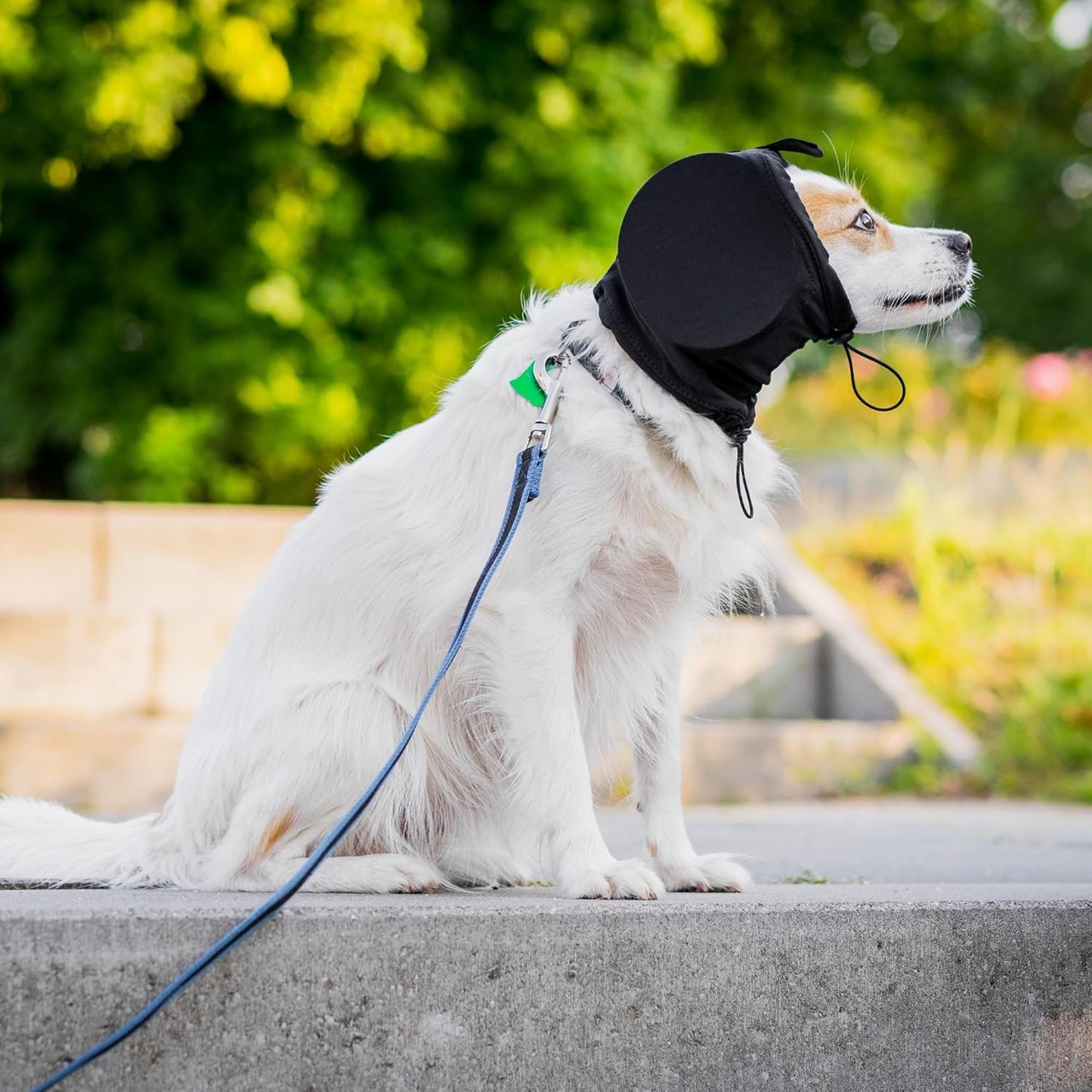 Noise-Suppressing Dog Ear Protectors | Comfortable, Breathable Polyester for Fireworks & Thunderstorm Anxiety Relief