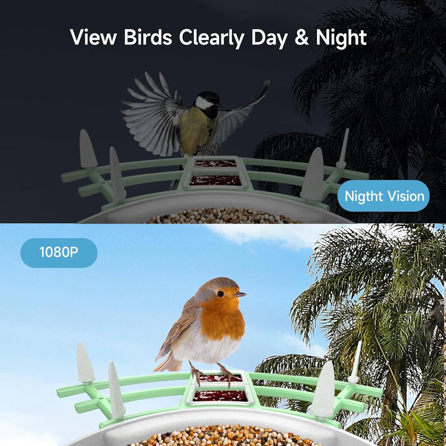 BirdyCam™ | Smart Bird Feeder Camera with AI Recognition & Night Vision for Bird Watching & Wildlife Observation