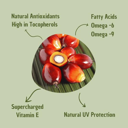 Batana Hair Oil | Deep Hydration, Strengthening & Protection for Healthy, Vibrant Hair