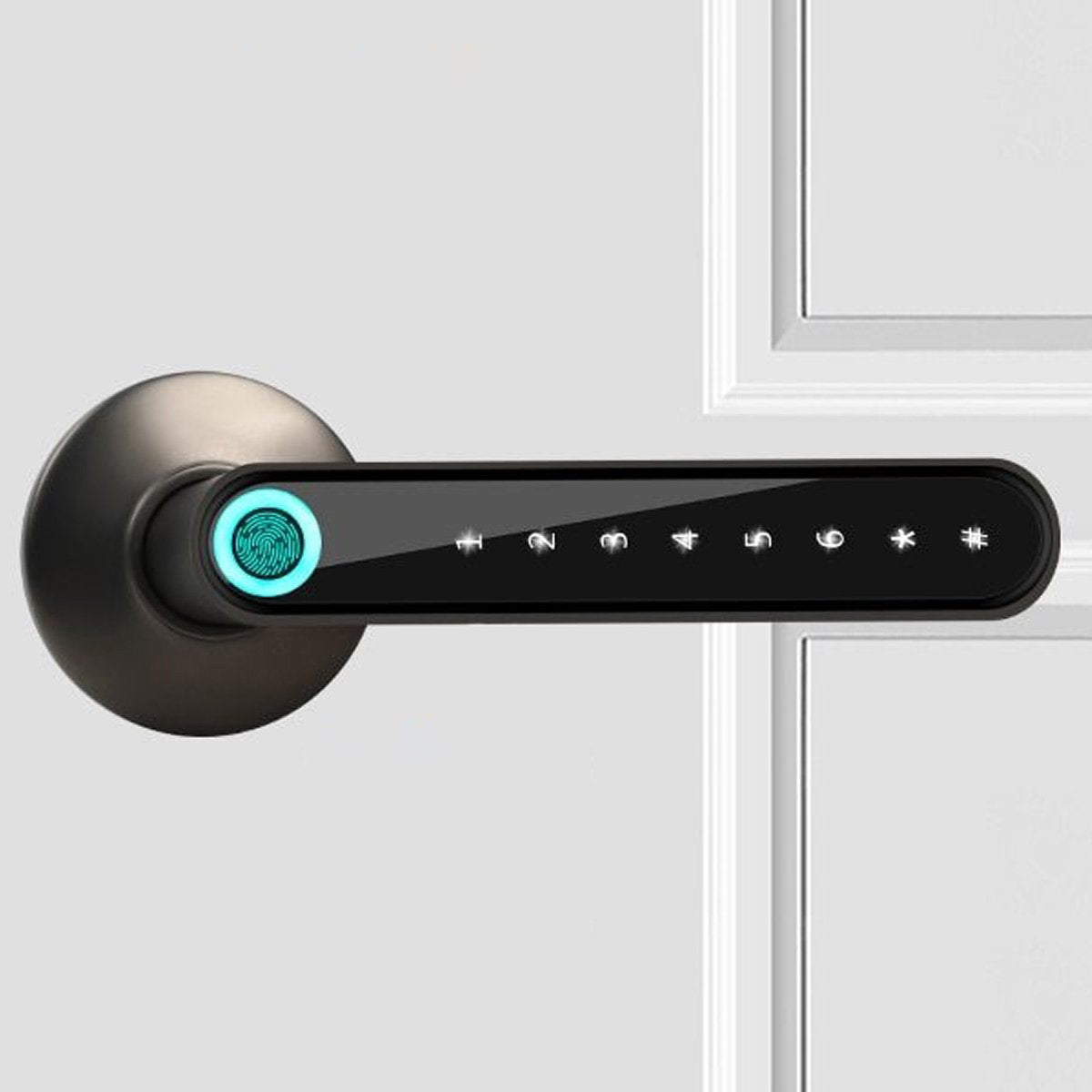 Smart Electronic Fingerprint Door Lock