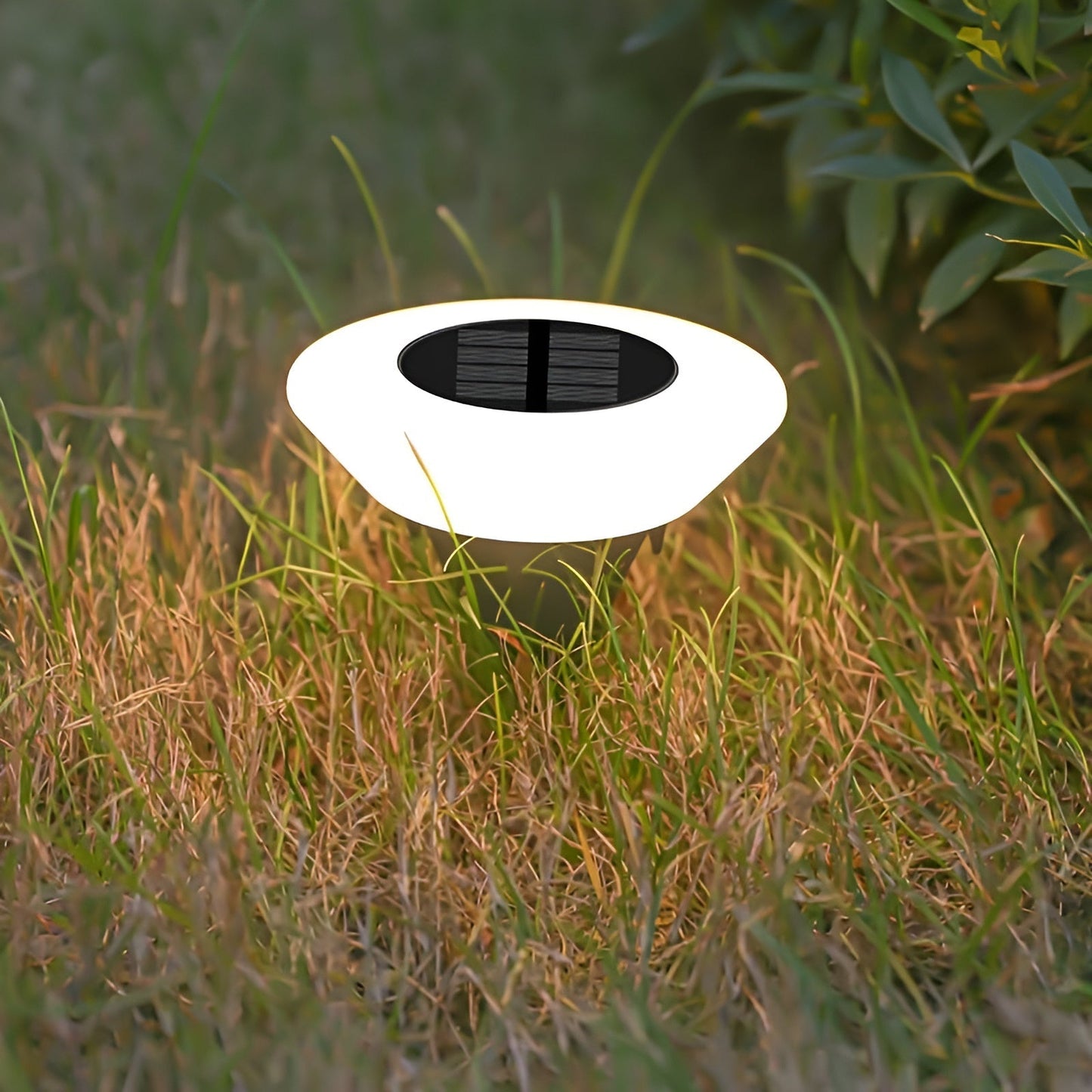 LED Solar Outdoor Lamp | Weatherproof, Easy Installation & Ideal for Garden and Patio Lighting