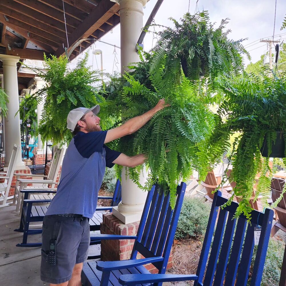 UV Resistant Artificial Boston Fern | Lifelike, Waterproof & Maintenance-Free for Outdoor Décor