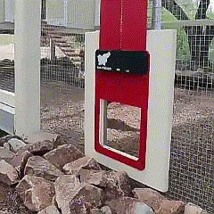 Automatic Chicken Pen Hen Coop Poultry Door Opener