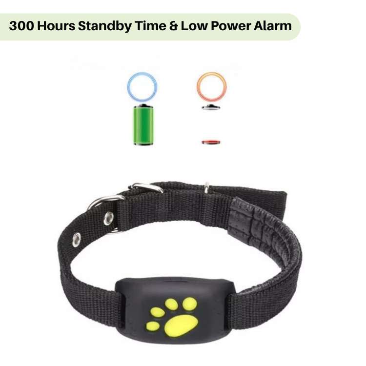 #1 Find GPS Cat Tracker with Real-Time Location, Waterproof Design, and Activity Monitoring for Pet Safety and Tracking