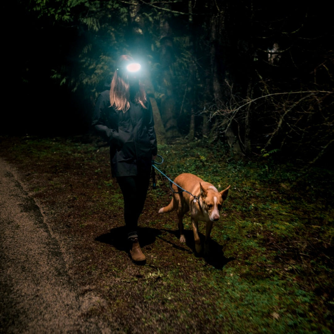 High-Performance 230° LED Headlamp with Adjustable Brightness for Outdoor Activities & Camping