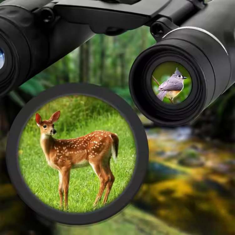 40x22 HD Long-Range Binoculars | Lightweight, Multi-Coated Lenses for Bird Watching, Wildlife Observation & Stargazing