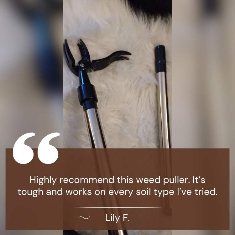 Heavy-Duty Weed Grabber | Durable Steel Tip for Easy Root Removal in All Soil Types