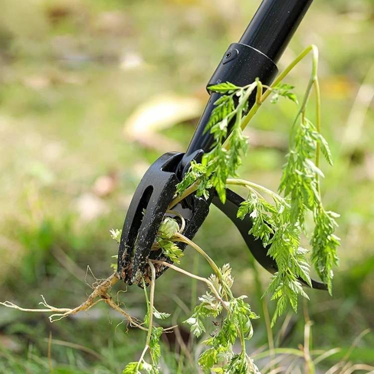 Heavy-Duty Weed Grabber | Durable Steel Tip for Easy Root Removal in All Soil Types
