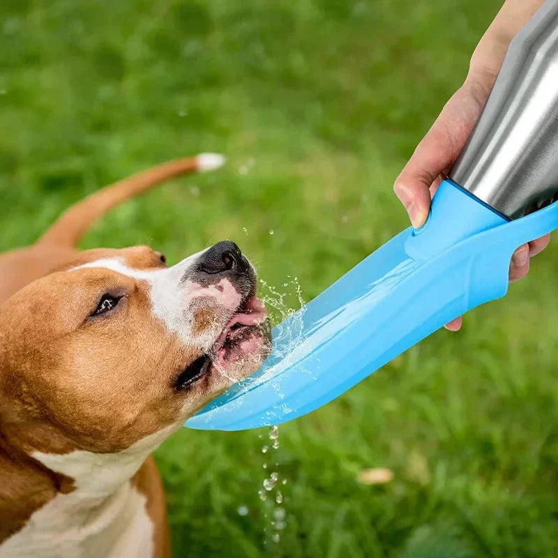 Insulated Dog Water Bottle | Stainless Steel, Leak-Proof & Perfect for Travel and Outdoor Adventures