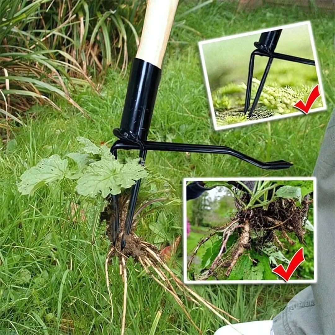 Ergonomic Weeding Tool | High-Strength Steel Claws for Effortless Weed Removal in Gardens