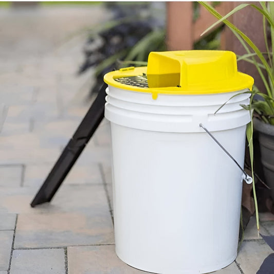 Smart Mouse Trap | Hands-Free, Safe for Families & Pets, Multiple Capture Design for Effective Rodent Control