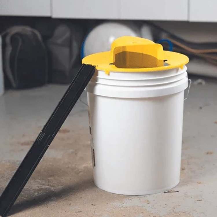 SmartCatch Hands-Free Mouse Trap | Safe for Families & Pets, Multiple Capture System for Effective Rodent Control