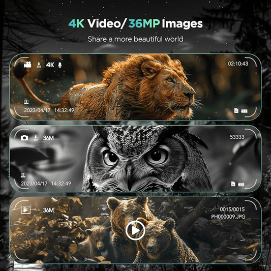 Ultra HD Night Binoculars | 8X Zoom, 7-Level Infrared & 4K Video Recording for Wildlife Observation and Nighttime Adventures