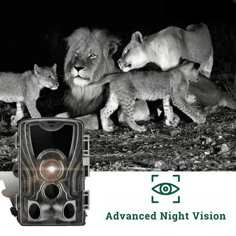 Wild Motion Detection Camera | Garden Wildlife Camera IP65 Waterproof, Full HD & Ideal for Hunting, Wildlife Observation & Security Monitoring