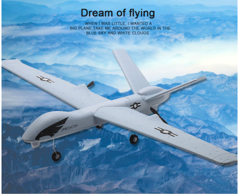Predator rc airplane clearance