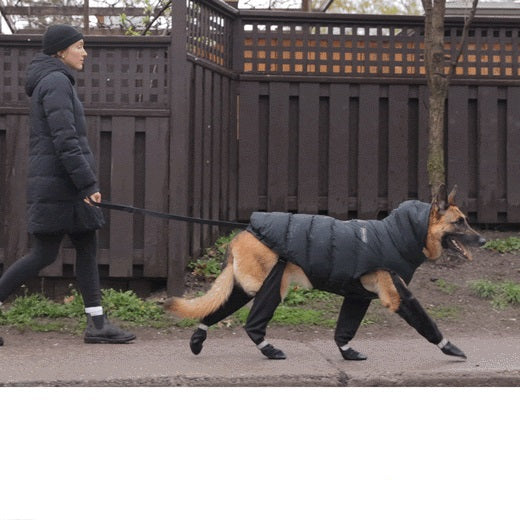 Canine Snow Boots
