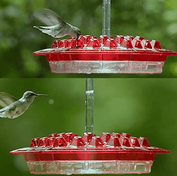 Ant Proof Hummingbird Feeder | 30 Feeding Ports, UV Resistant & Ideal for Outdoor Bird Watching