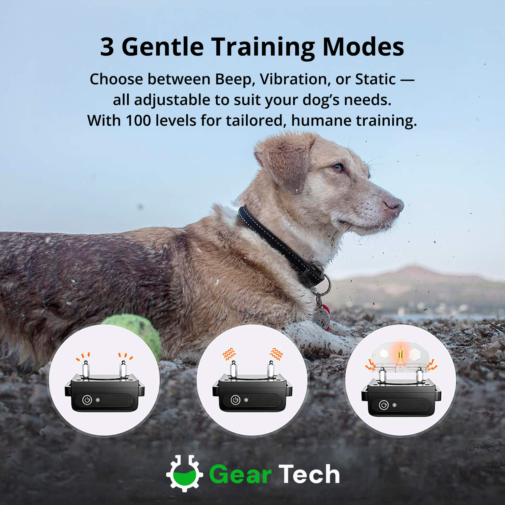 1000m Waterproof Dog Training Collar | Rechargeable, Remote Control & Adjustable for Small, Medium, and Large Dogs