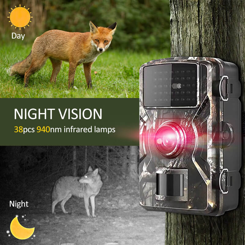 Animal Using Camera Night Vision Outdoor Wildlife Animal Cam Camera – Gear Tech UK