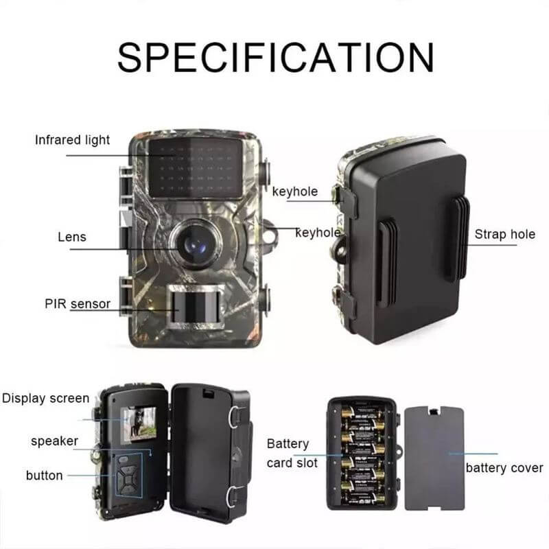 Night Vision Outdoor Wildlife Animal Cam Camera