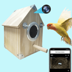 Bird Watching Nesting Feeder Nest Cam Box with Camera