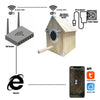 Image of Bird Watching Nesting Feeder Nest Cam Box with Camera