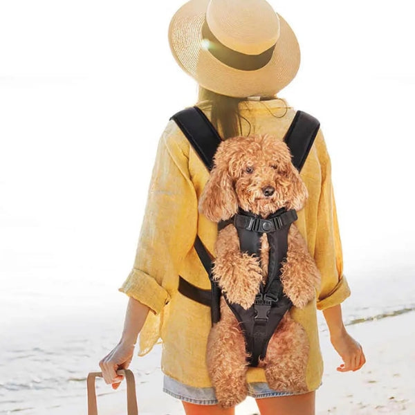 Dog Carrier Backpack | Ideal Canine Rucksack for Walking and Backpacking Adventures