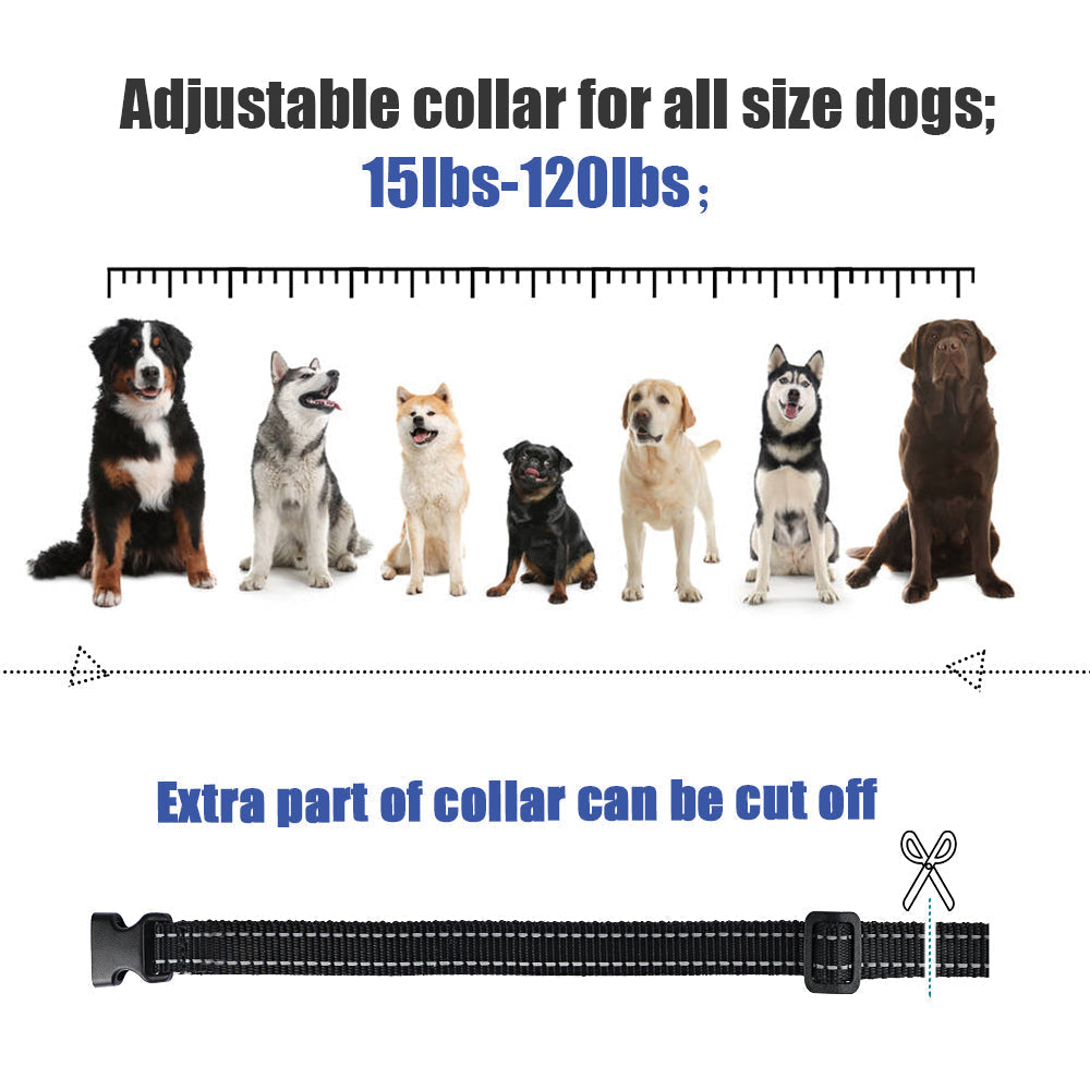 Gear Tech Dog Training Collar