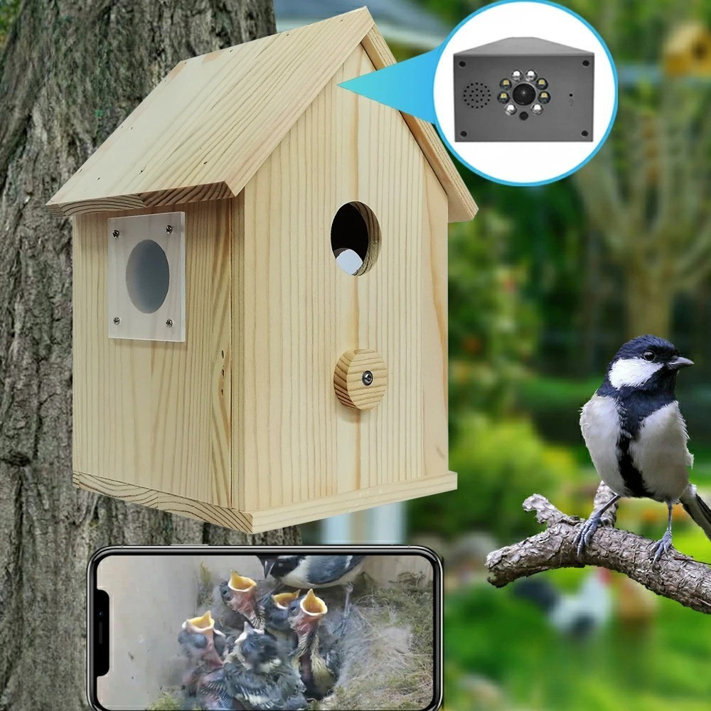 Bird Box Camera | Smart WiFi Wildlife Camera for Bird Boxes – Outdoor ...
