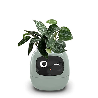 AI Smart Plant Pot | Self-Watering, Interactive with 70+ Expressions & Compatible with Smart Home Systems for Indoor & Outdoor Use
