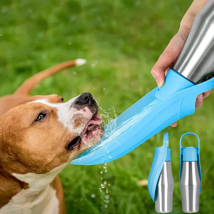 Insulated Dog Water Bottle | Stainless Steel, Leak-Proof & Perfect for Travel and Outdoor Adventures