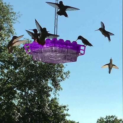 Ant Proof Hummingbird Feeder | 30 Feeding Ports, UV Resistant & Ideal for Outdoor Bird Watching