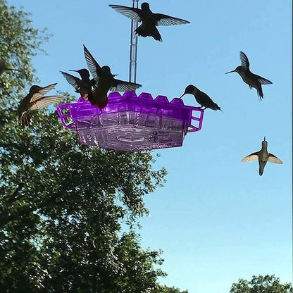Ant Proof Hummingbird Feeder | 30 Feeding Ports, UV Resistant & Ideal for Outdoor Bird Watching