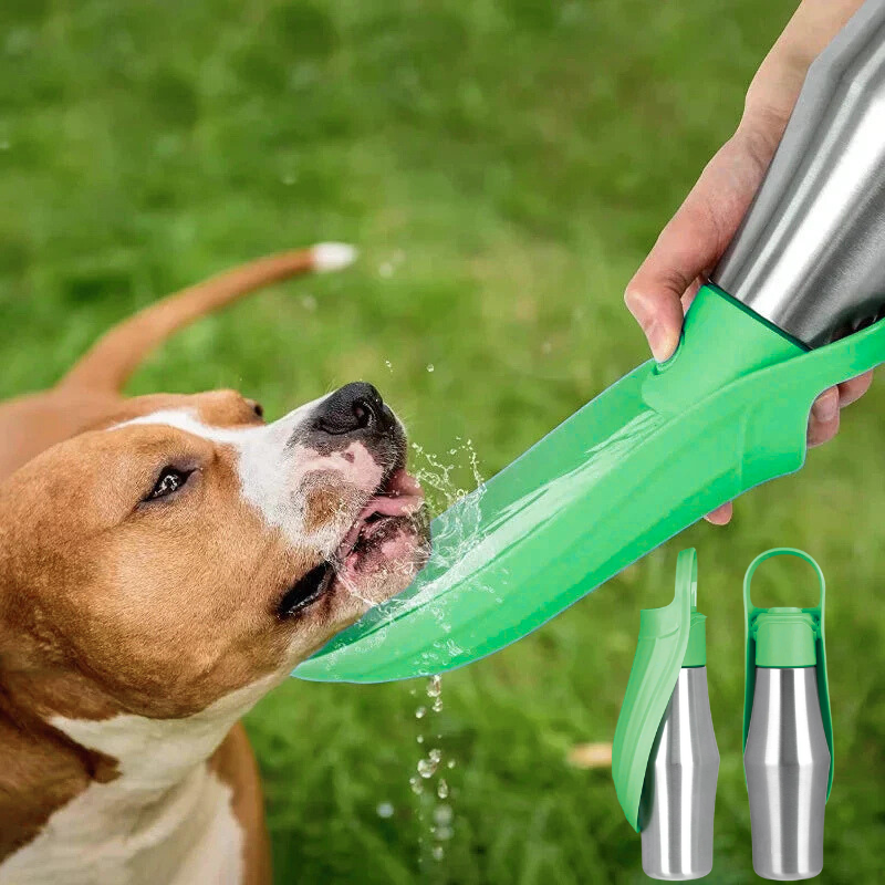 Insulated Dog Water Bottle | Stainless Steel, Leak-Proof & Perfect for Travel and Outdoor Adventures