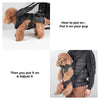 Image of Dog Carrier Backpack | Ideal Canine Rucksack for Walking and Backpacking Adventures