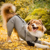 Image of Dog Rain Coat with Legs - Waterproof Dog Jacket for Small and Large Breeds | UK Cozy Winter Wear