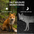 Night Vision Outdoor Wildlife Animal Camera