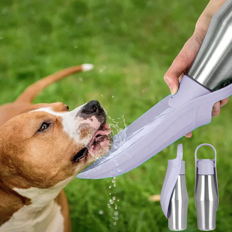 Insulated Dog Water Bottle | Stainless Steel, Leak-Proof & Perfect for Travel and Outdoor Adventures