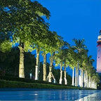 LED Outdoor Spotlight for Trees - Adjustable Waterproof Landscape Lighting for Garden, Yard, and Pathway Illumination