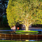 LED Outdoor Spotlight for Trees - Adjustable Waterproof Landscape Lighting for Garden, Yard, and Pathway Illumination