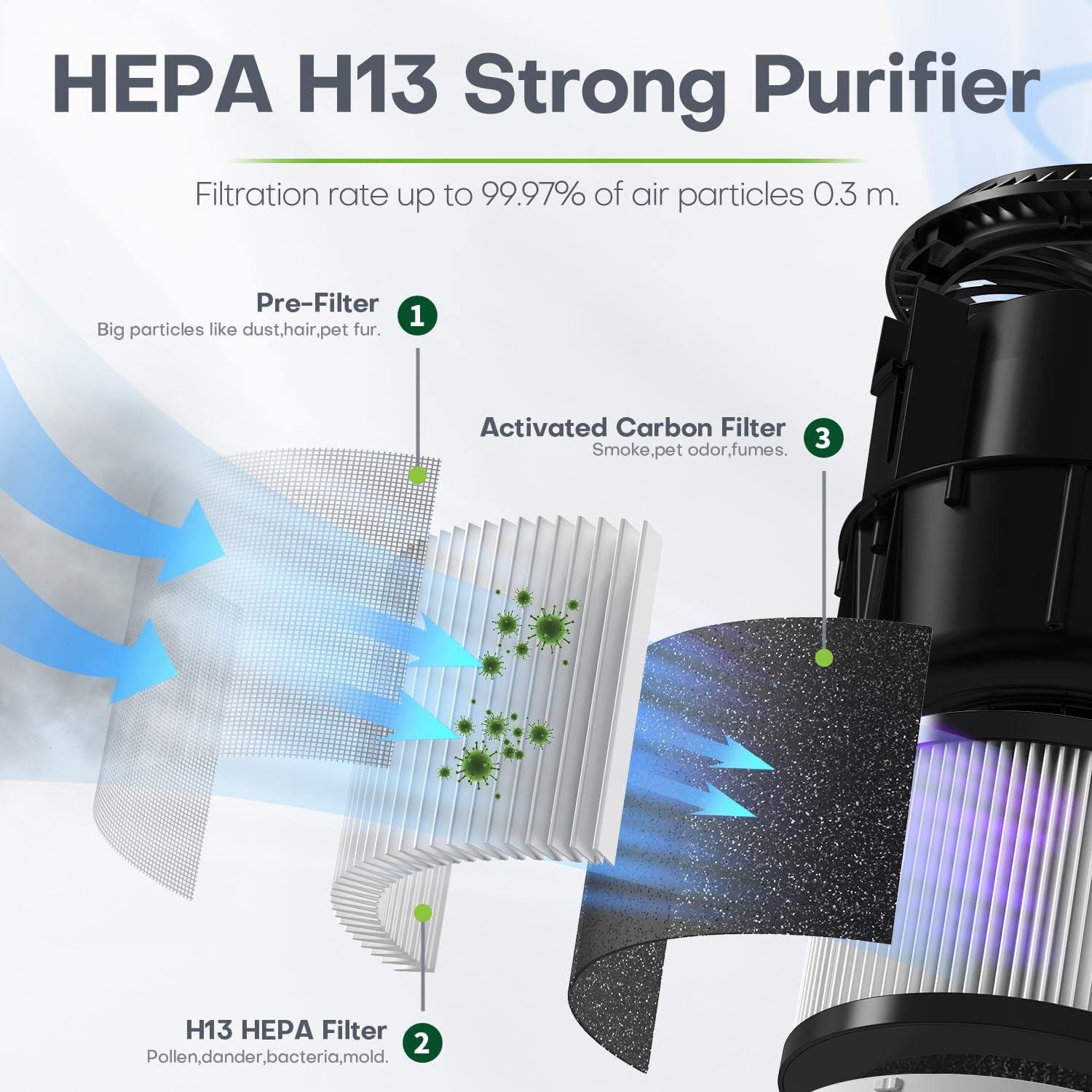 Compact Air Purifier | True HEPA Filter, Ultra-Quiet & Ideal for Small to Medium Rooms